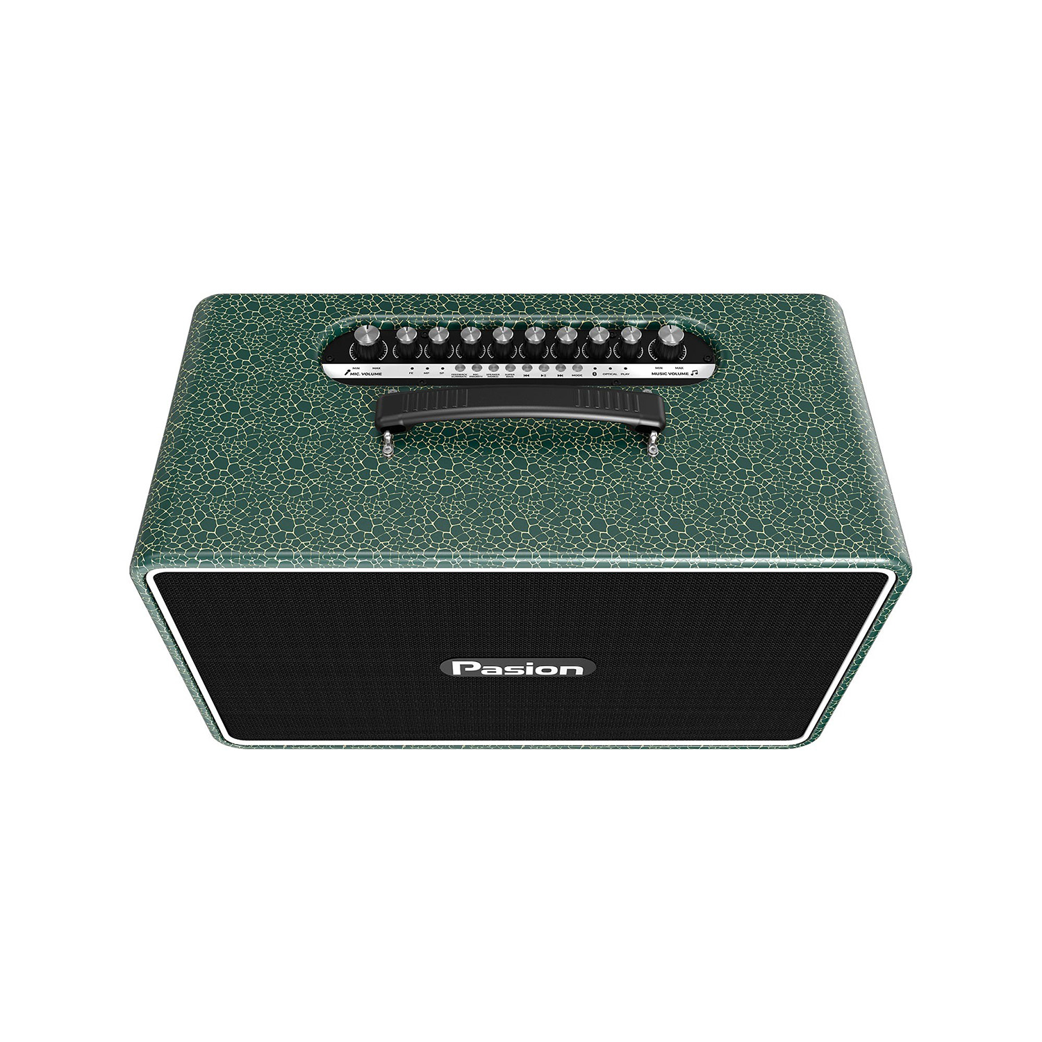 Loa Karaoke Di Động Paramax Pasion Arte xanh rêu 3