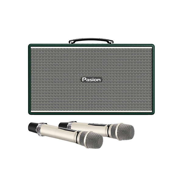Loa Karaoke Paramax PASION Enzo