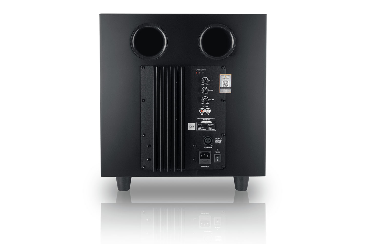 Loa Sub Điện CAVS THS12 VERSION 2 mặt sau