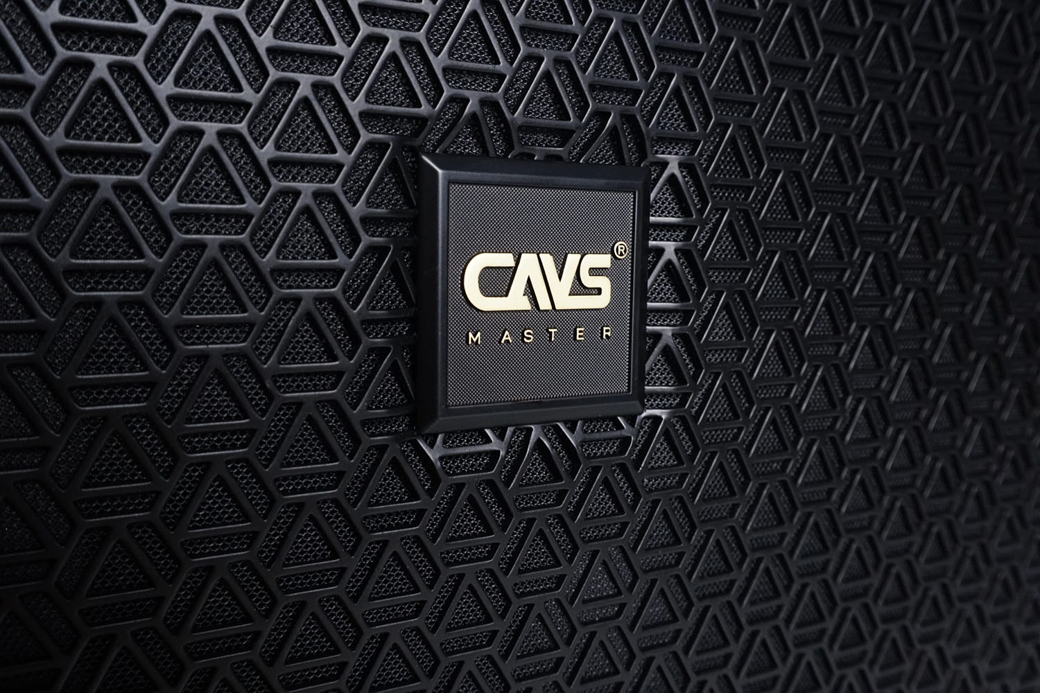 Loa Sub Hơi CAVS ZLX218 logo