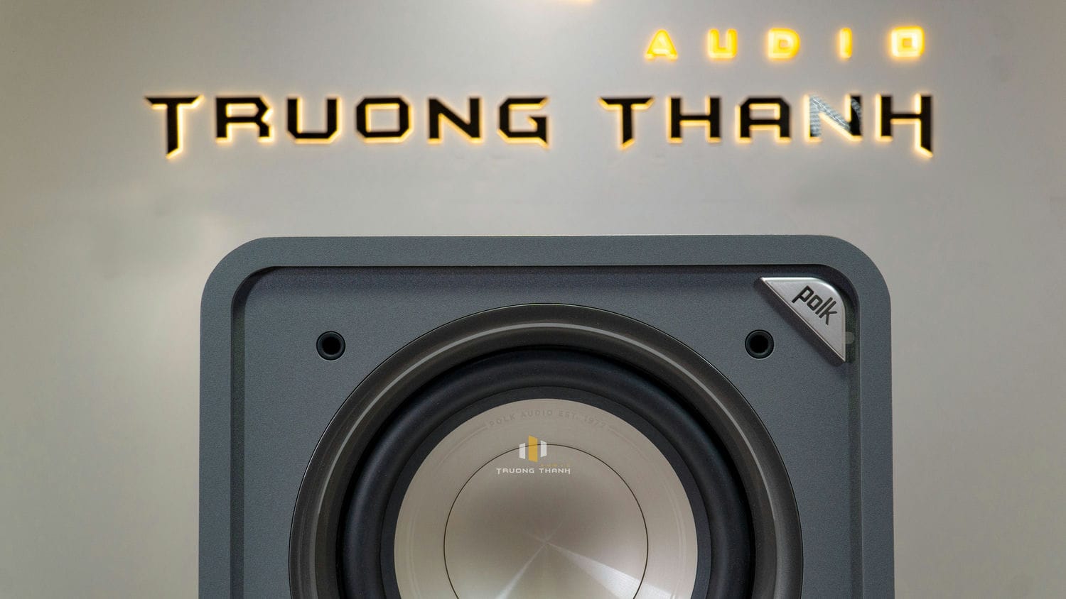 Ảnh sản phẩm Loa sub Polk audio HTS-10  (Sub điện bass 25cm) 10