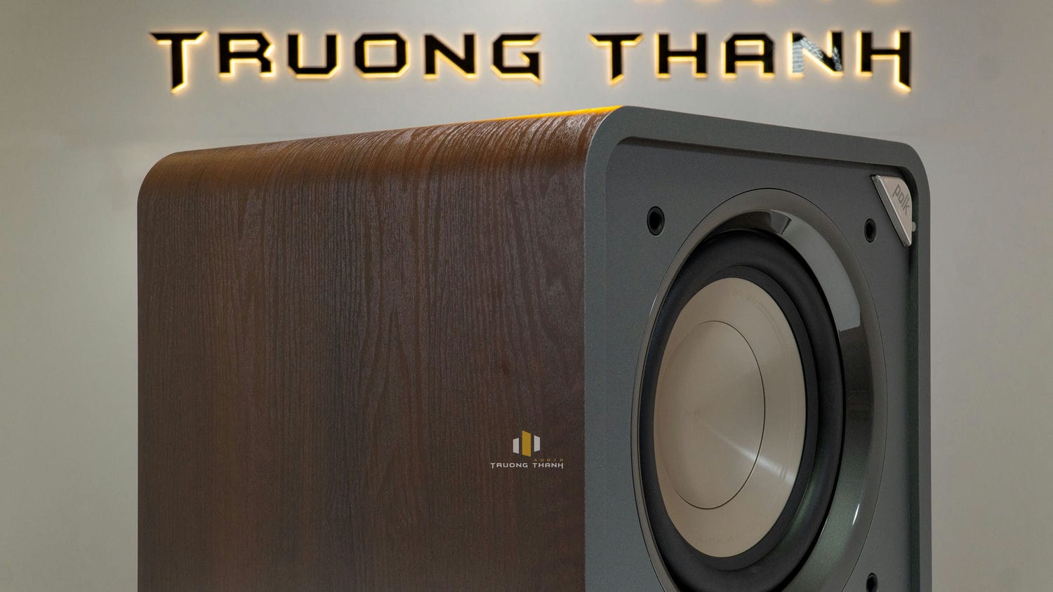 Ảnh sản phẩm Loa sub Polk audio HTS-10  (Sub điện bass 25cm) 13