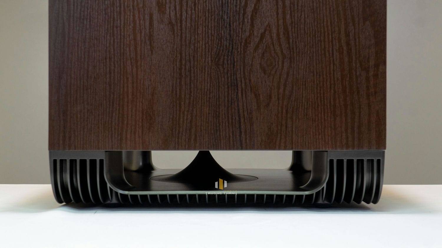 Ảnh sản phẩm Loa sub Polk audio HTS-10  (Sub điện bass 25cm) 18