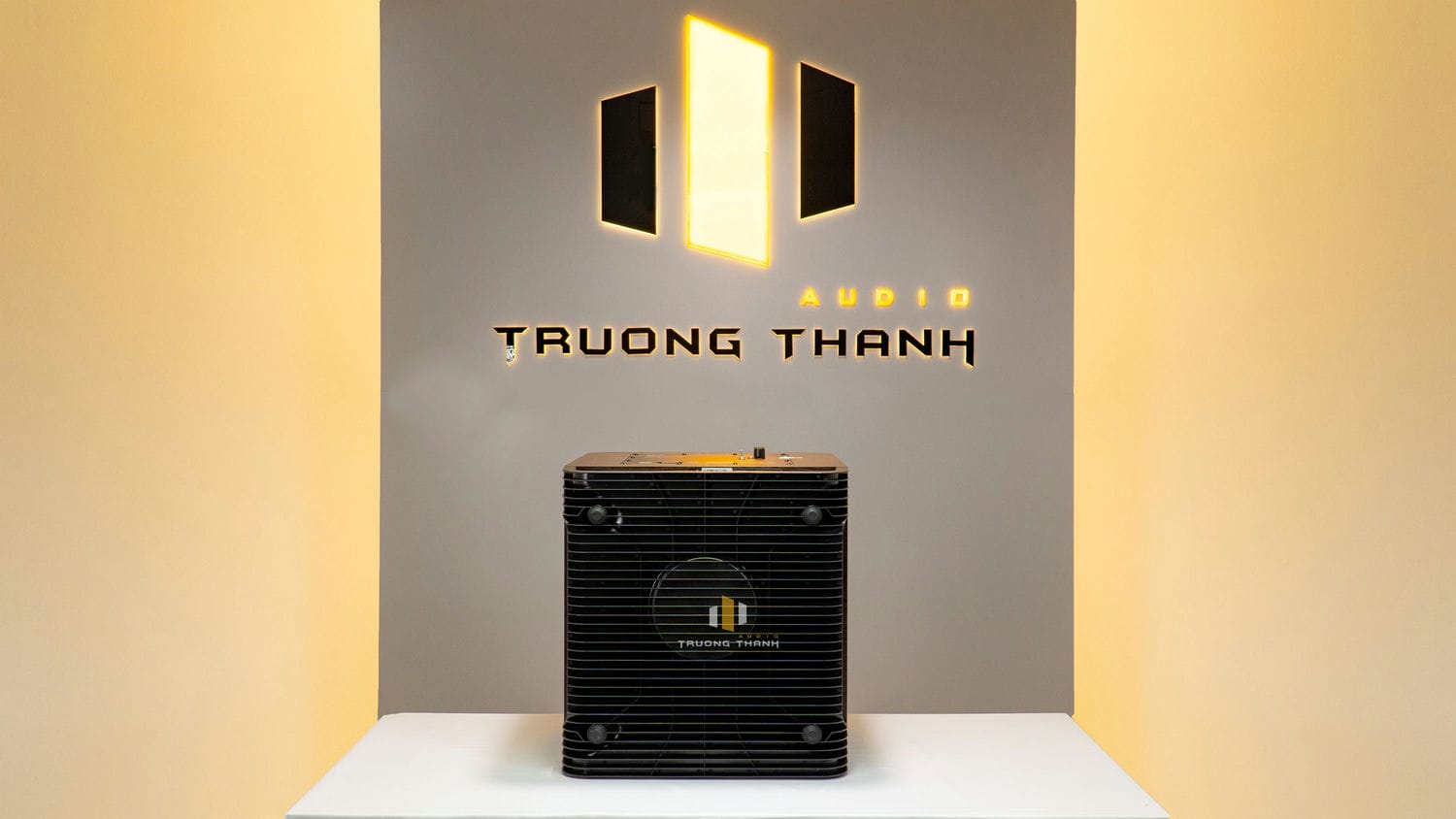 Ảnh nổi bật của sản phẩm Loa Sub Polk Audio HTS12 (Sub điện bass 30cm) 14