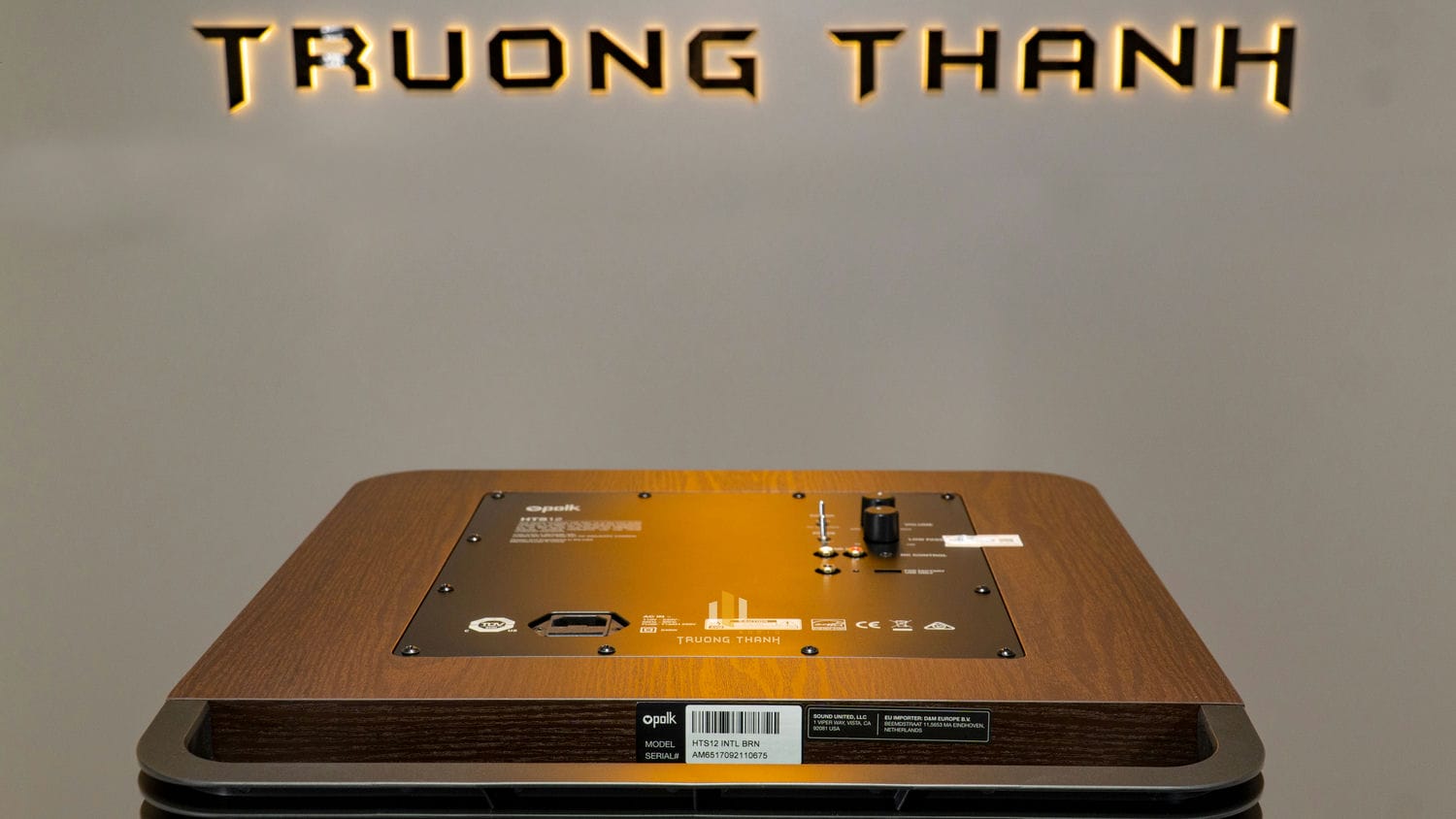 Ảnh sản phẩm Loa Sub Polk Audio HTS12 (Sub điện bass 30cm) 11