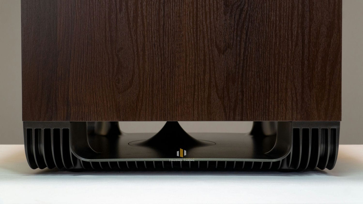 Ảnh sản phẩm Loa Sub Polk Audio HTS12 (Sub điện bass 30cm) 14