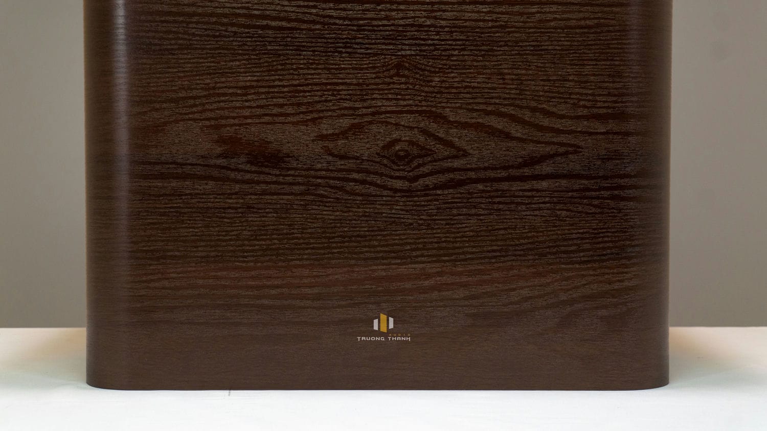 Ảnh sản phẩm Loa Sub Polk Audio HTS12 (Sub điện bass 30cm) 15