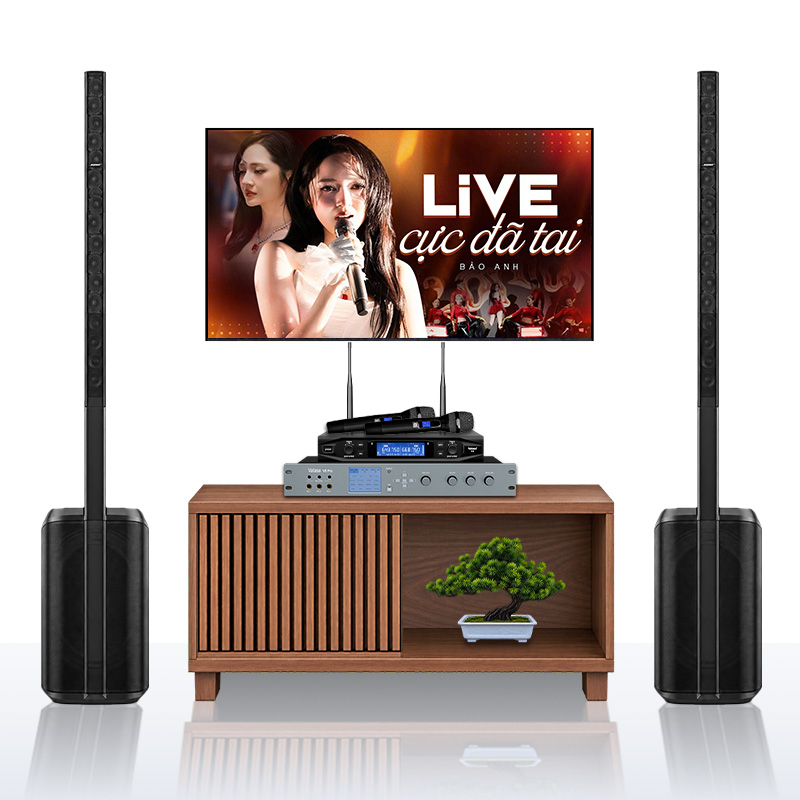 Dàn karaoke Bose TT450: (Bose L1 Pro16, Vatasa T10, Vatasa V8 Pro)