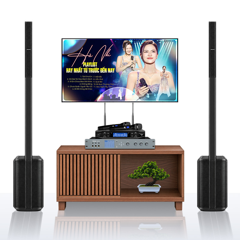 Dàn karaoke Bose TT451: (Bose L1 Pro8, Vatasa T10, Vatasa V8 Pro)