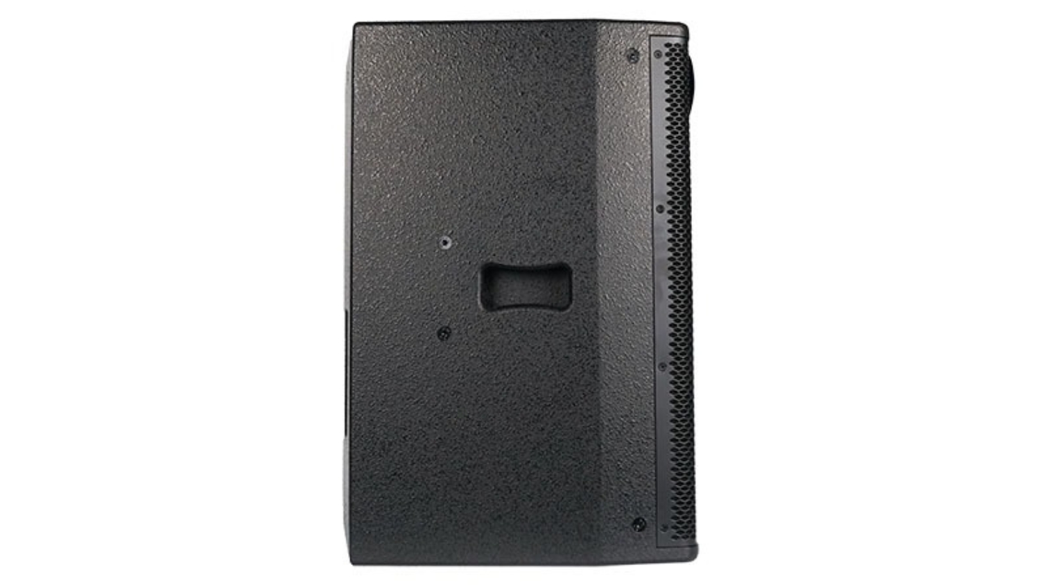 Ảnh sản phẩm Loa CAVS AF12 Lite ( Loa Full bass 30cm, 2 đường tiếng) 2