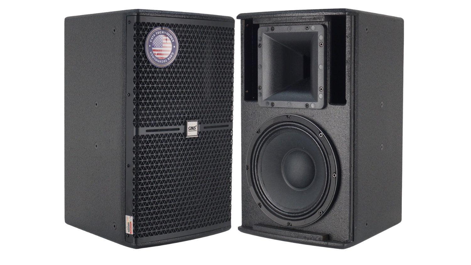 Ảnh sản phẩm Loa CAVS C10 2