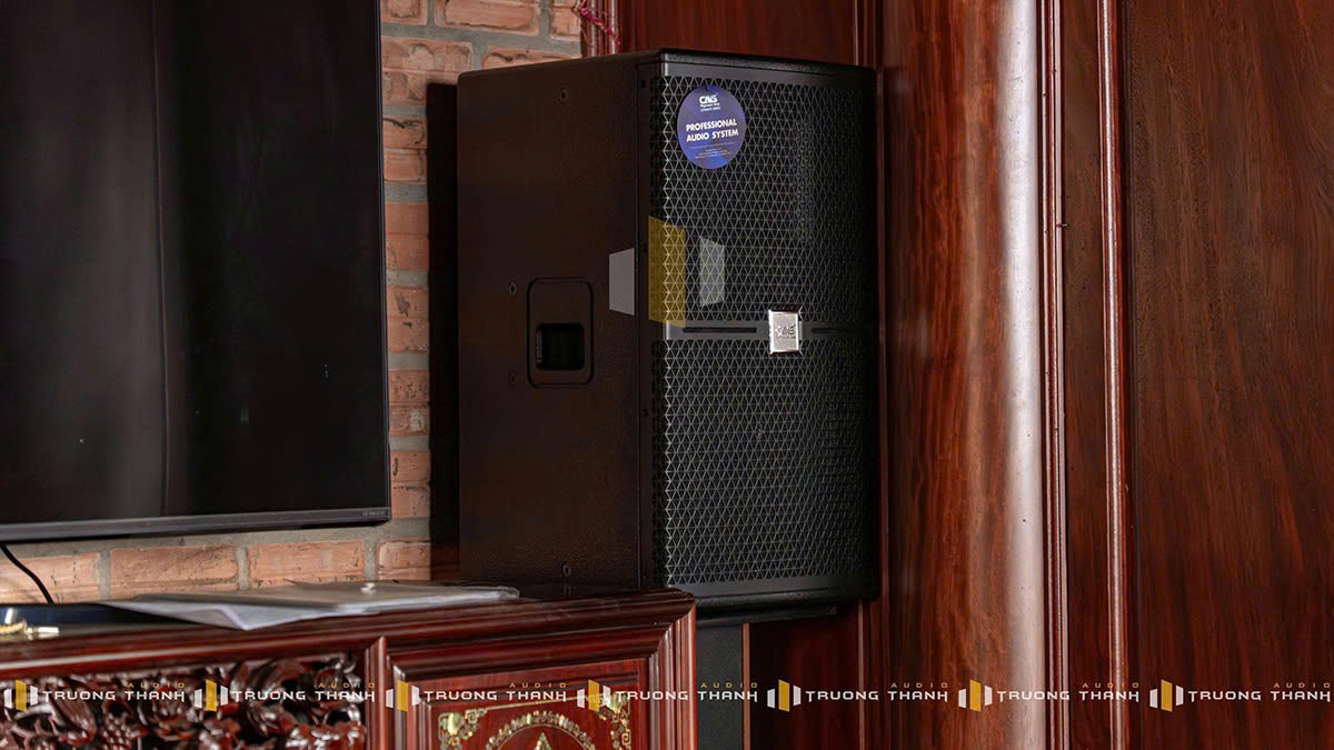 loa cavs c12 của Dàn Karaoke CAVS TT274: (CAVS C12, Vatasa T500, Vatasa KX300, Vatasa VA-2600, Nex 12)