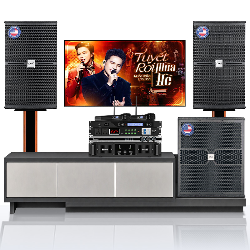 Dàn Karaoke CAVS TT283: (CAVS C12, Vatasa T500, Vatasa V6 Pro, Vatasa VA-2600, CAVS KS115, Vatasa P9 Luxury)