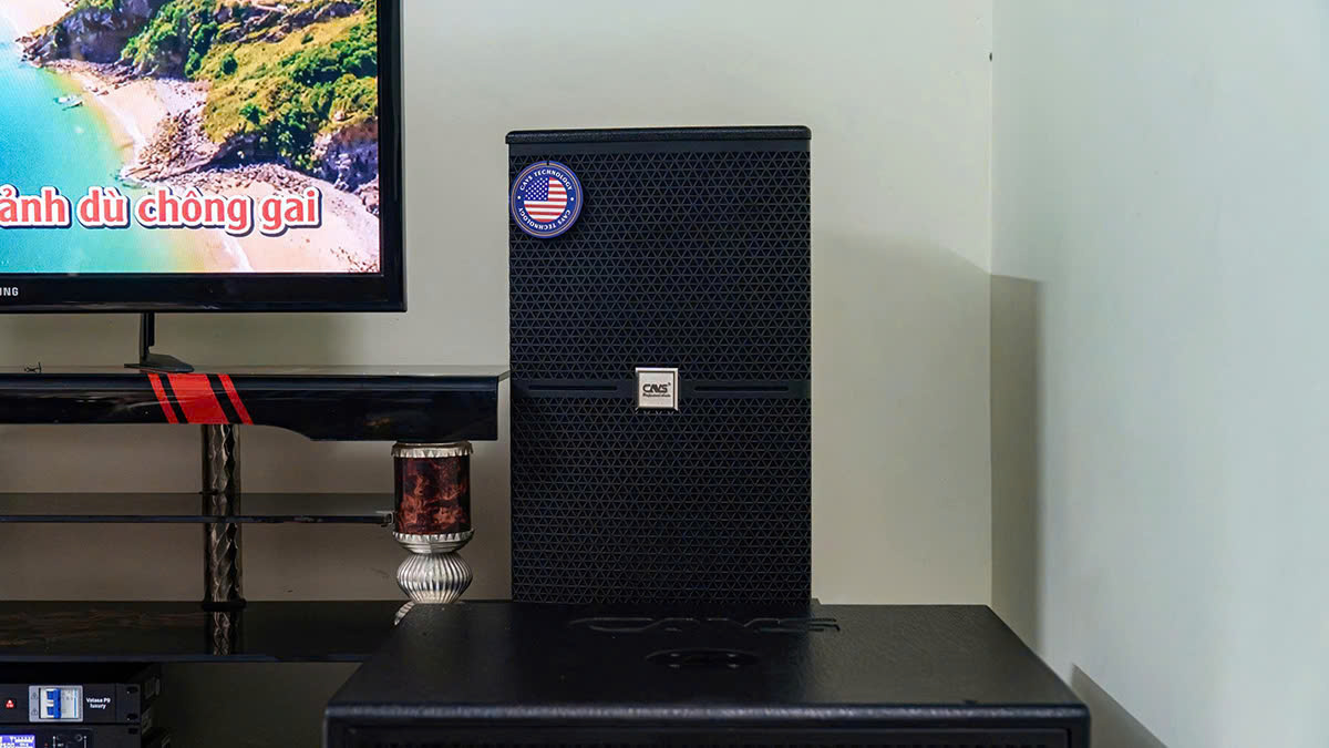 loa cavs c12 của Dàn karaoke CAVS TT343: (CAVS C12, Vatasa T500, Vatasa V6 Pro, Vatasa VA-2600, CAVS CS115, P9 Luxury)