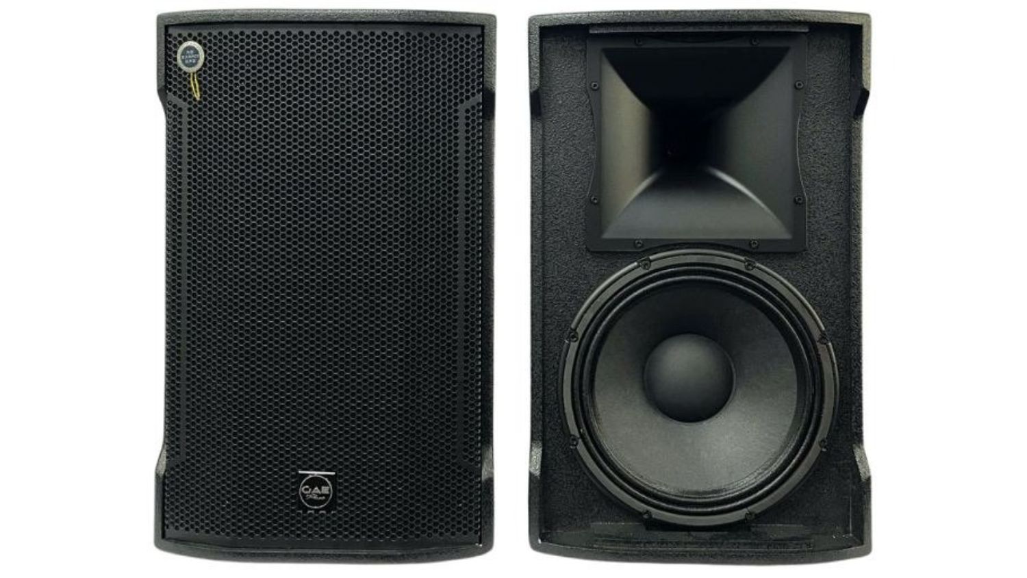 Loa đồng trục CAVS CM12