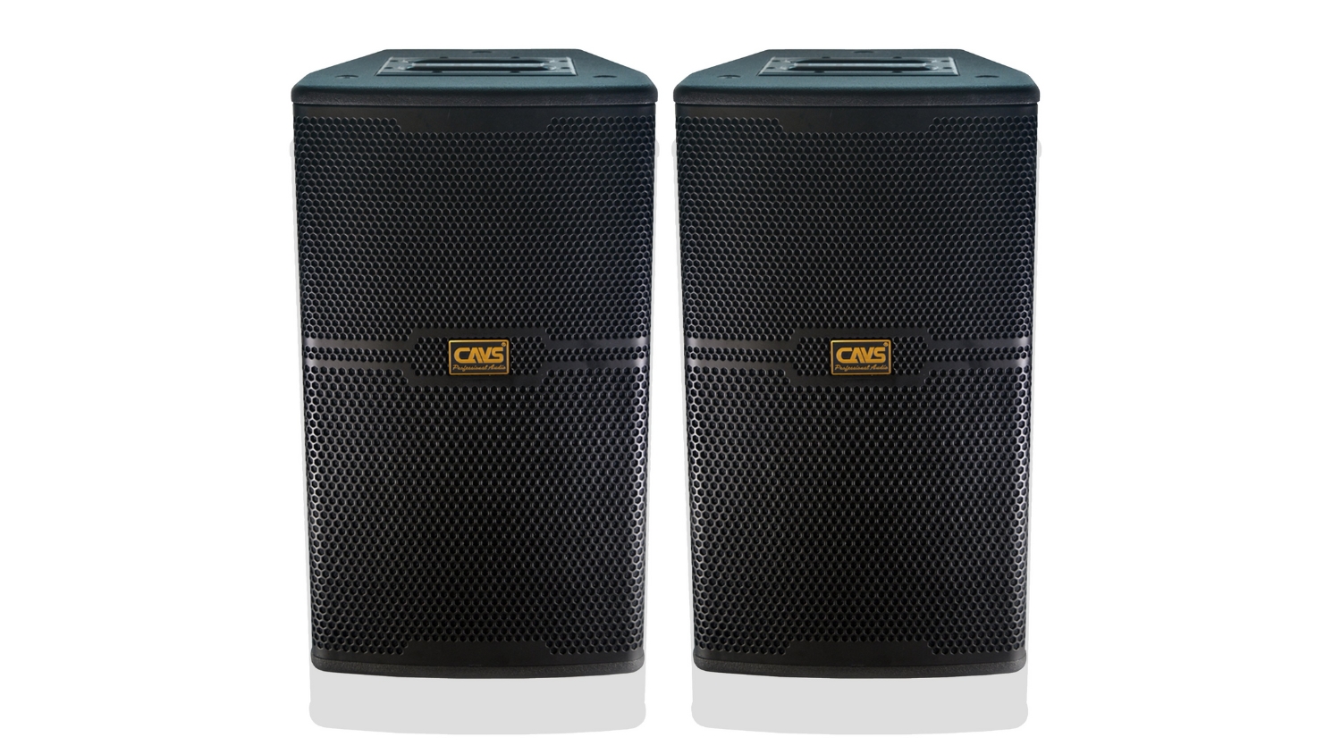 Loa Karaoke CAVS CS-301E