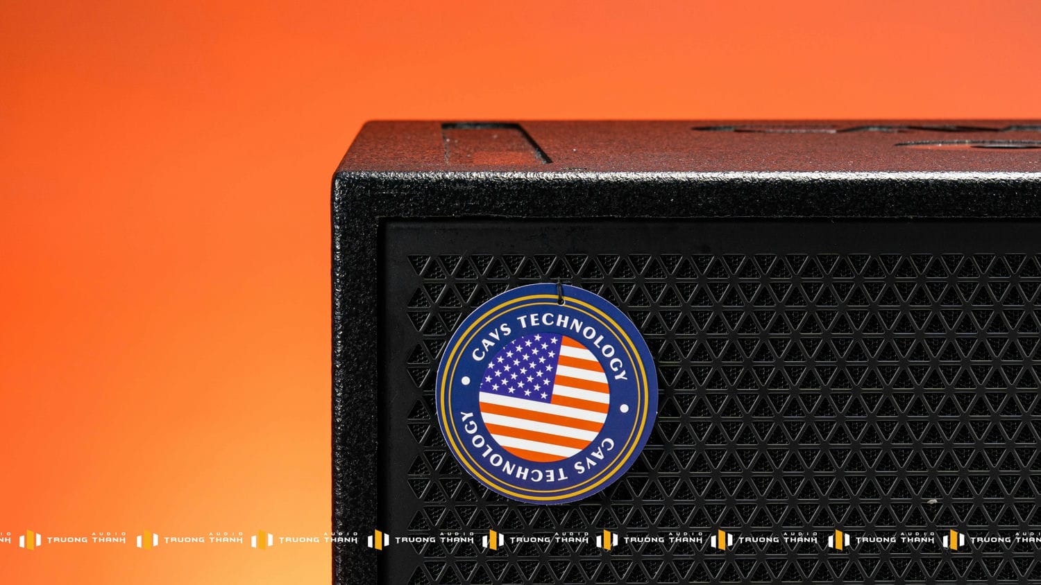 Ảnh sản phẩm Loa Sub CAVS CS115 Bass 40 (NEW 2024) 4