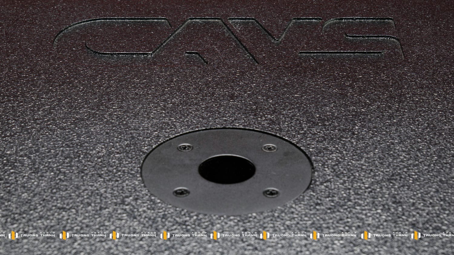 Ảnh sản phẩm Loa Sub CAVS CS115 Bass 40 (NEW 2024) 6