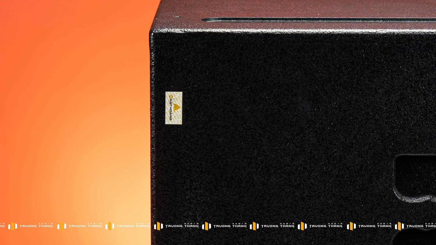 Ảnh sản phẩm Loa Sub CAVS CS115 Bass 40 (NEW 2024) 8