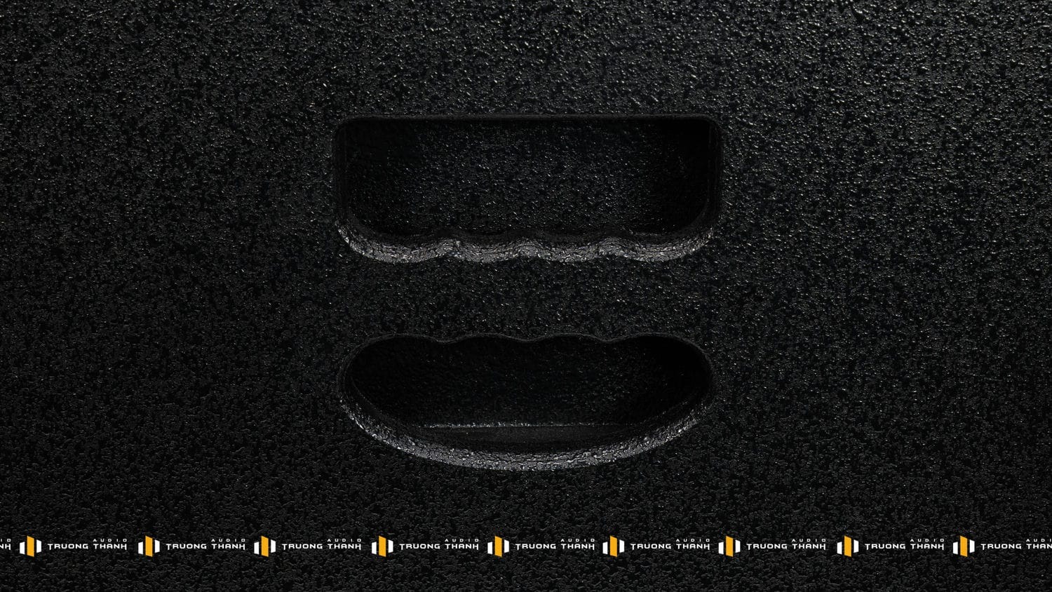 Ảnh sản phẩm Loa Sub CAVS CS115 Bass 40 (NEW 2024) 9