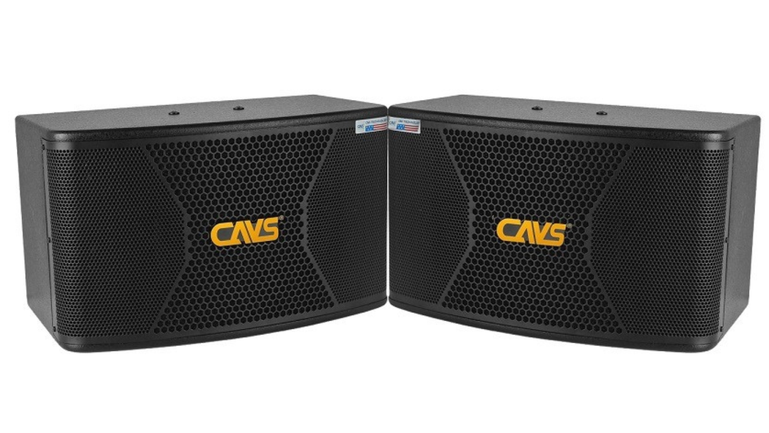 Ảnh sản phẩm Loa Karaoke CAVS CX10 Plus 1