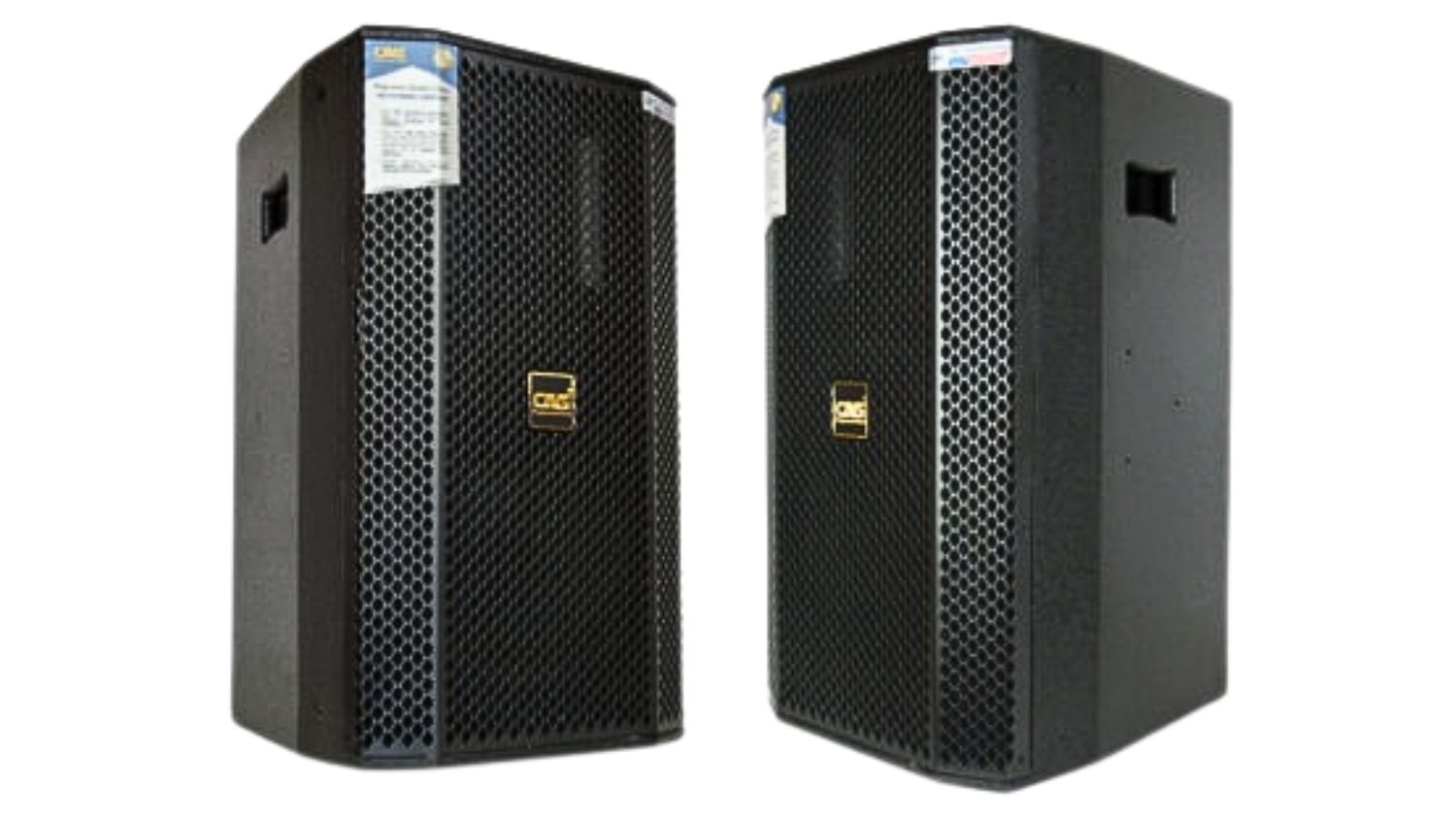 Mặt trước của  Loa Karaoke CAVS P12 Lite