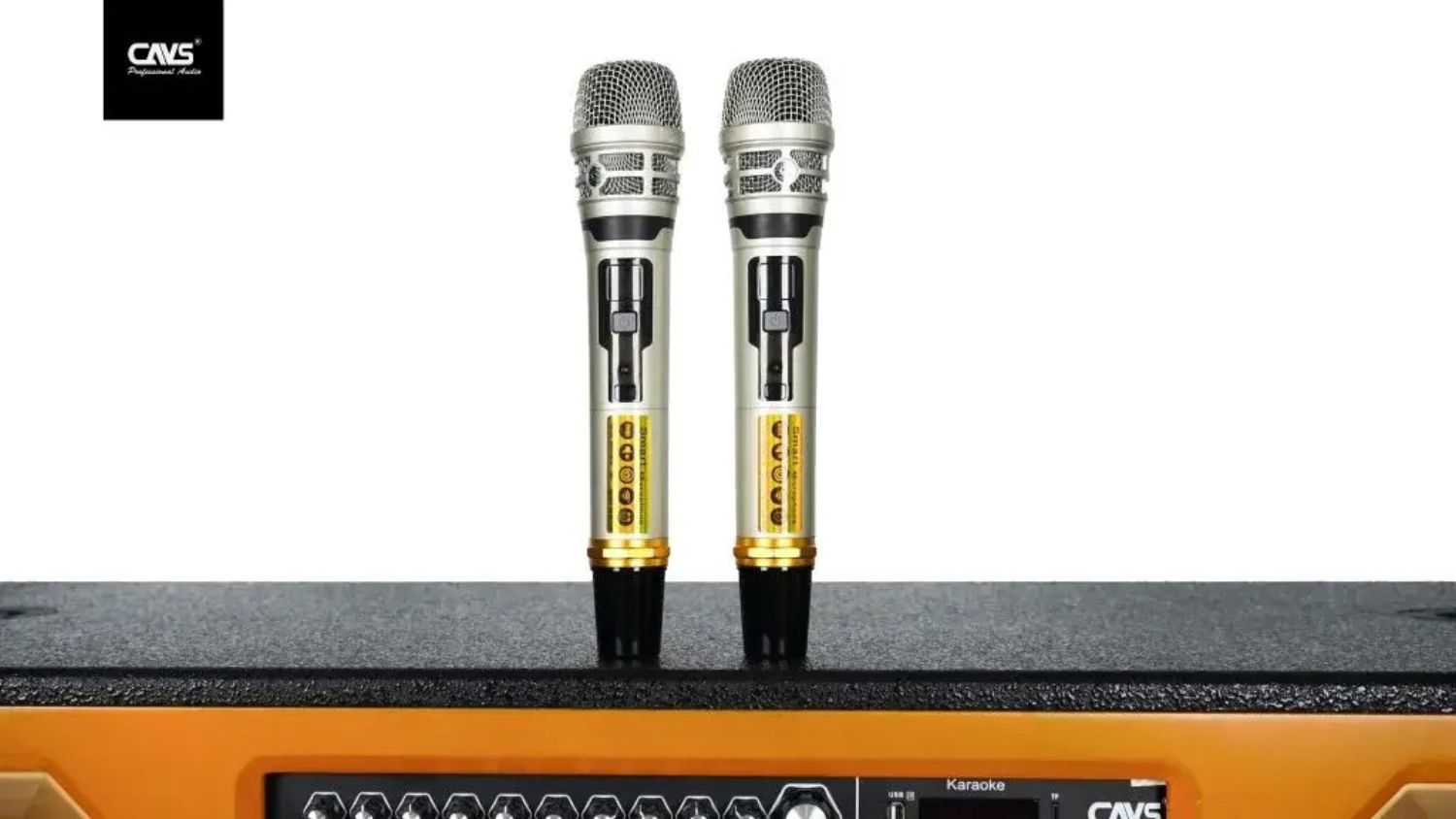 Micro không dây của Loa kéo CAVS PA215 2 Bass 40