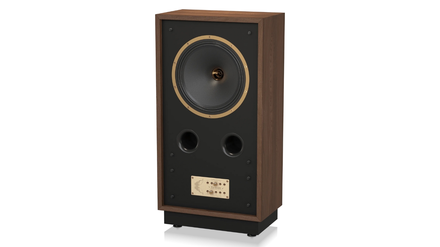 Mặt bên của Loa Tannoy Cheviot