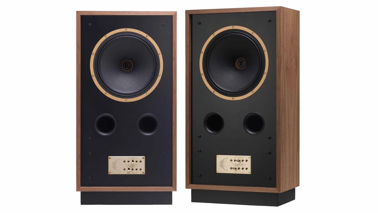 Mặt trong của Loa Tannoy Cheviot
