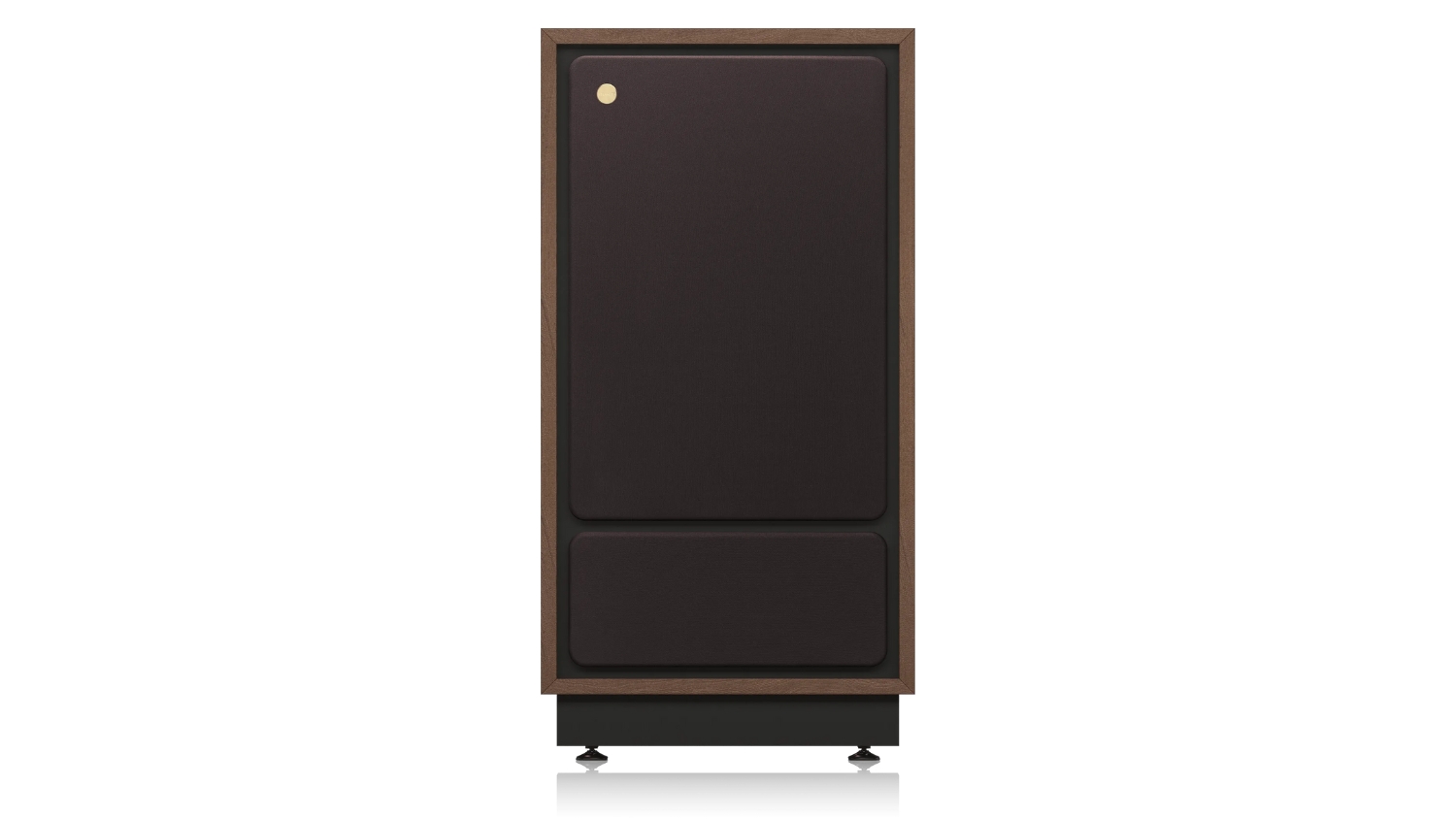 Mặt trước của Loa Tannoy Cheviot