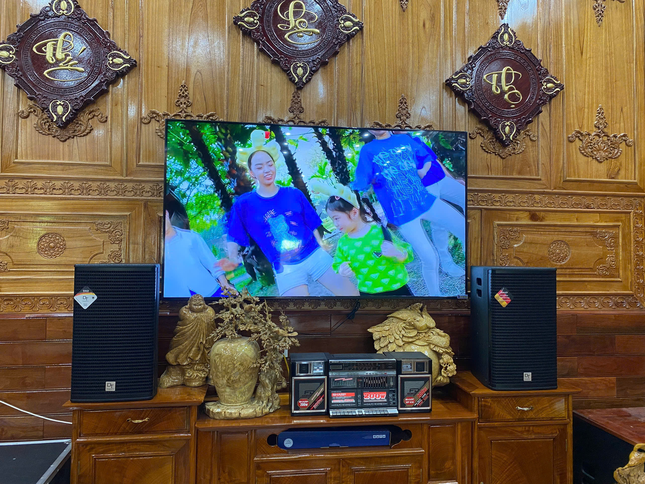 Đôi loa karaoke của Dàn karaoke DT TT358