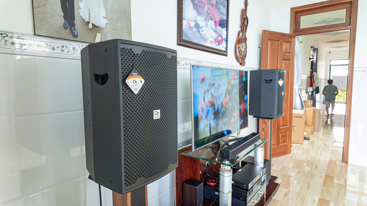 Loa DT của Dàn karaoke DT TT436: (DT D2000, Vatasa T900 New, Vatasa V6 Pro, DT DH-208, CAVS CS115, Vatasa P9 Luxury)