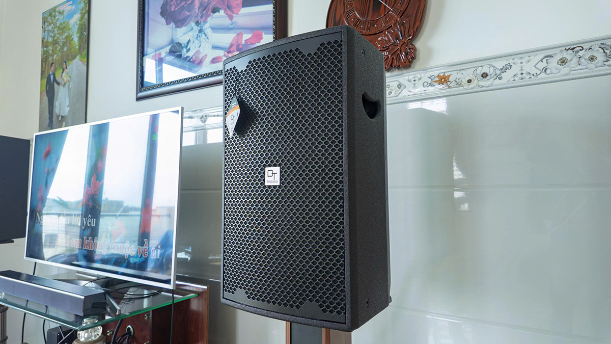 Loa chính bên phải của Dàn karaoke DT TT436: (DT D2000, Vatasa T900 New, Vatasa V6 Pro, DT DH-208, CAVS CS115, Vatasa P9 Luxury)