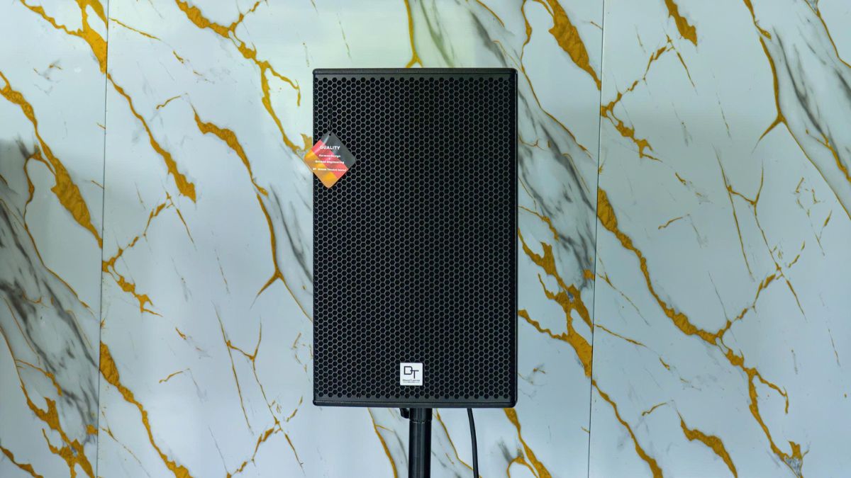 Loa DT Radius-12pro của Dàn karaoke DT TT455: (DT Radius-12Pro, Vatasa T900 New, Vatasa V8 Pro, DT DH-410, DT Delta118, Vatasa P9 Luxury)