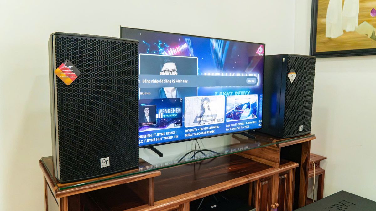 Đôi loa của Dàn karaoke DT TT456: (DT Radius-12Pro, Vatasa T900 New, Vatasa V8 Pro, DT DH-206, CAVS CS115)