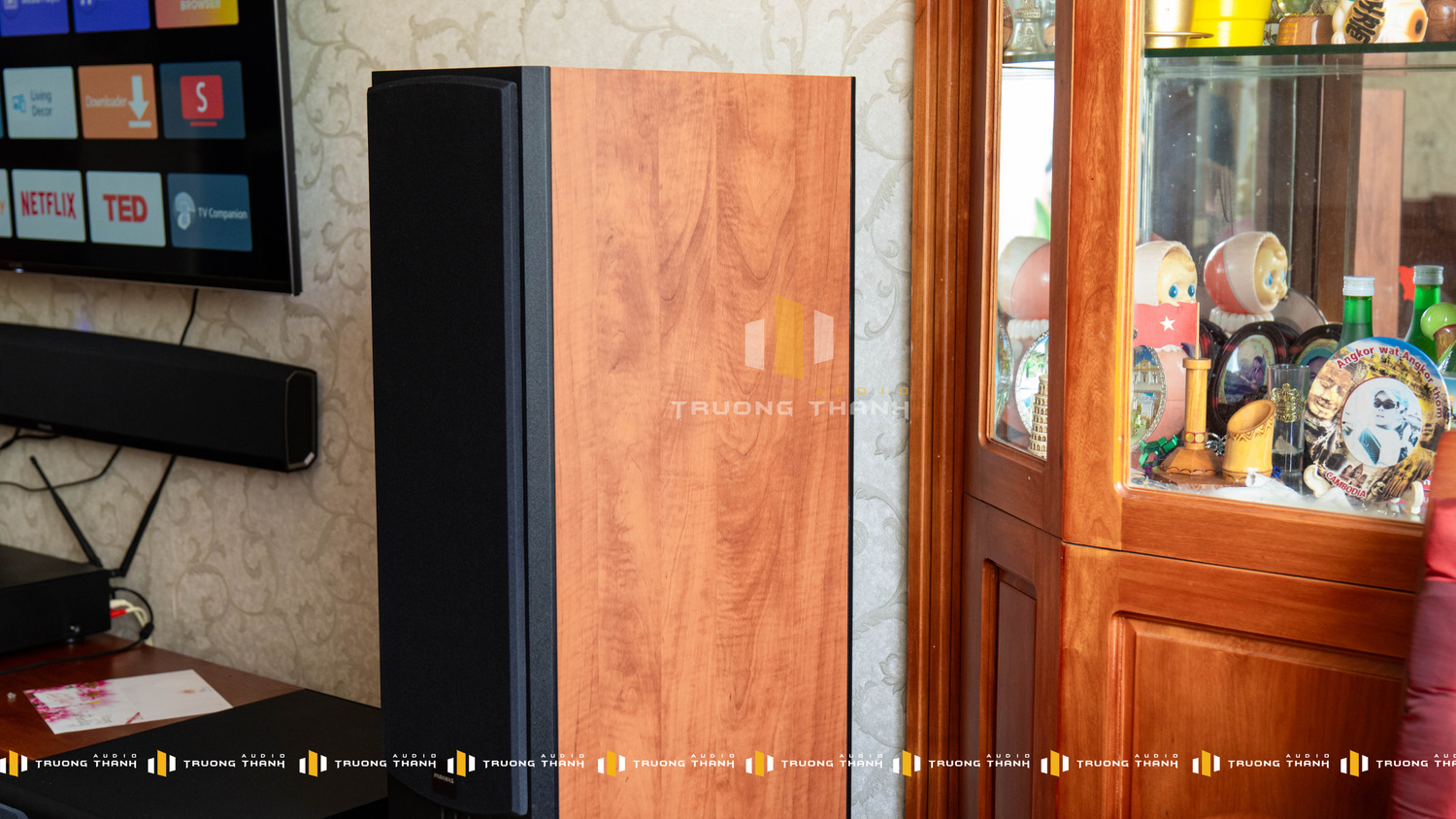 Ảnh sản phẩm Dàn Karaoke Paramax TT345: (Paramax D88 Limited, Vatasa HC600, PARAMAX SUB-D30) 25