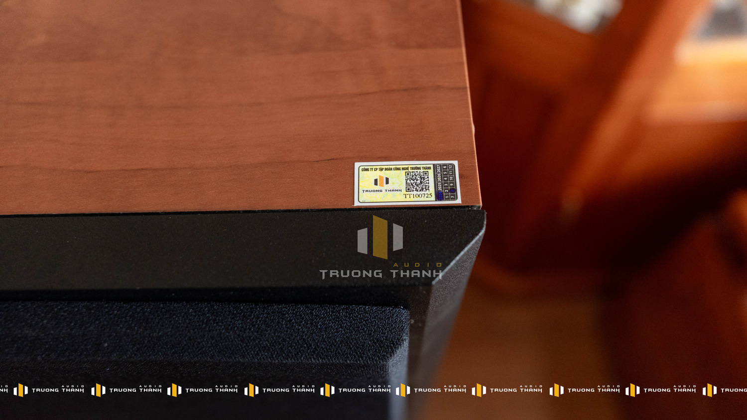 Ảnh sản phẩm Dàn Karaoke Paramax TT345: (Paramax D88 Limited, Vatasa HC600, PARAMAX SUB-D30) 23
