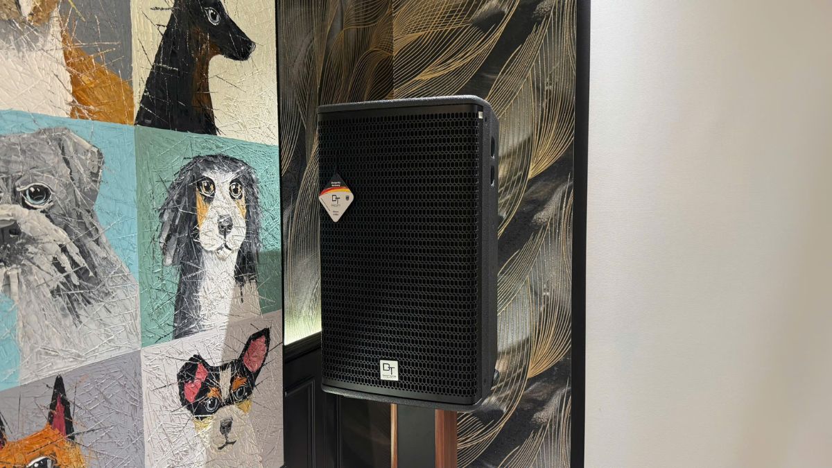 loa karaoke chính của Dàn karaoke DT TT475: (2 DT Alpha12, Vatasa T900 New, Vatasa V8 Pro, DT Lion206, DT Lion406, DT Delta118, Vatasa PW8, VietK 4K Plus 4TB, VietK 22inch)