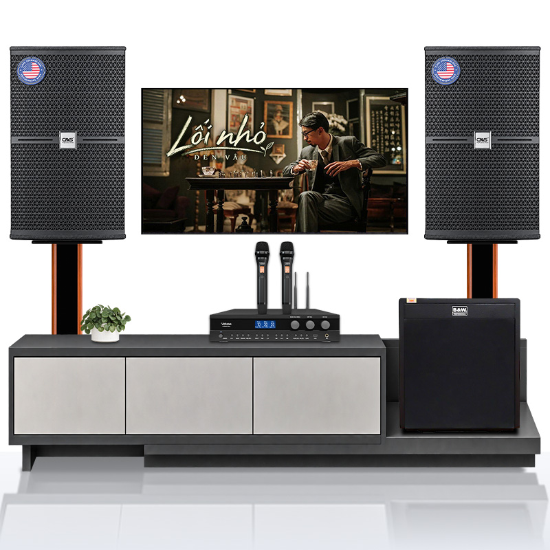 Dàn Karaoke DT TT429: (DT Radius 12Pro, Vatasa BLA600 New, BW SW-12Plus)