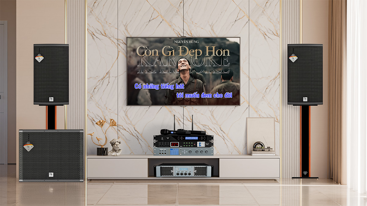 Dàn karaoke DT TT465: (DT Radius-12Pro, Vatasa T500, Vatasa V8 Pro, DT Lion406, DT Delta115, Vatasa P9 Luxury) hình 3d