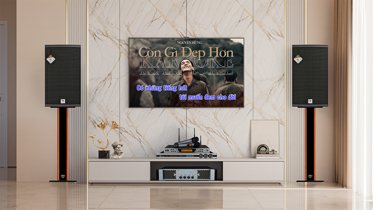 Dàn karaoke DT TT464: (DT Radius-12Pro, Vatasa T900 New, Vatasa V6 Pro, DT Lion408) hình 3d
