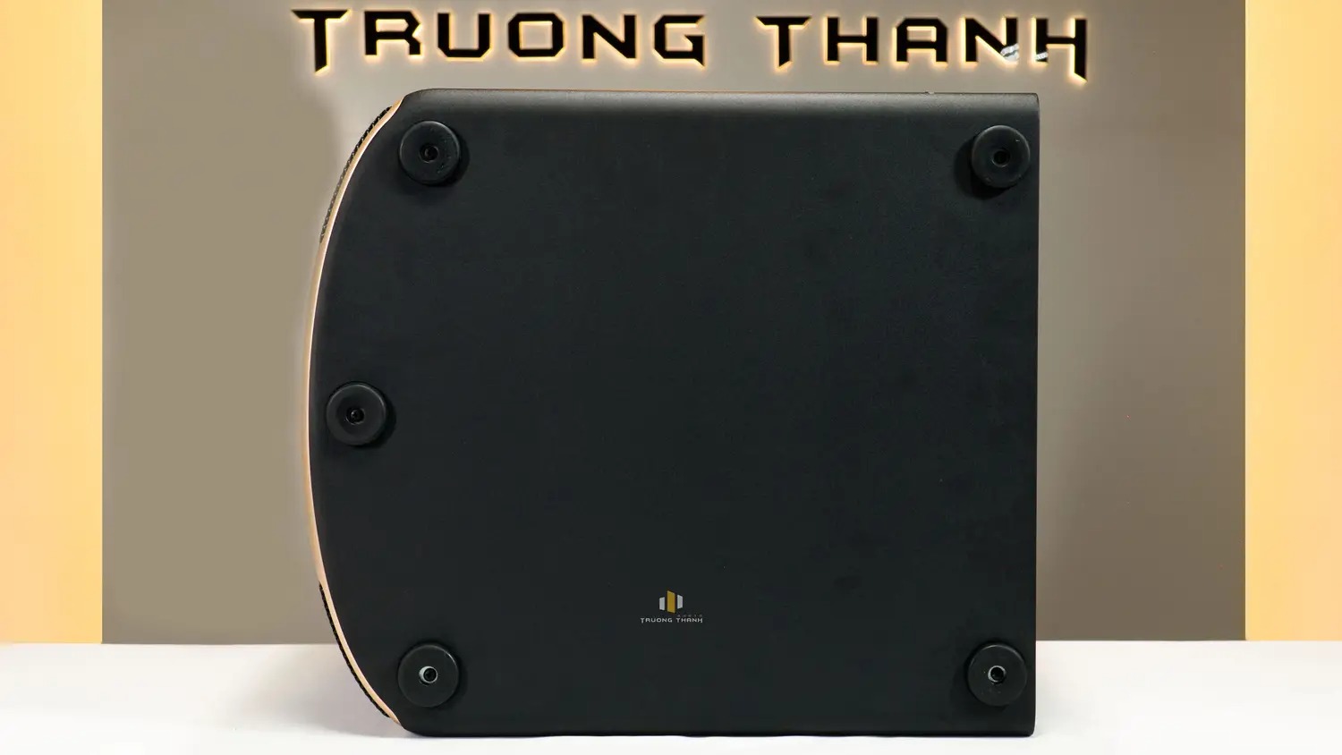 Ảnh sản phẩm Loa sub JBL Pasion 12SP (Sub điện bass 30cm) 5