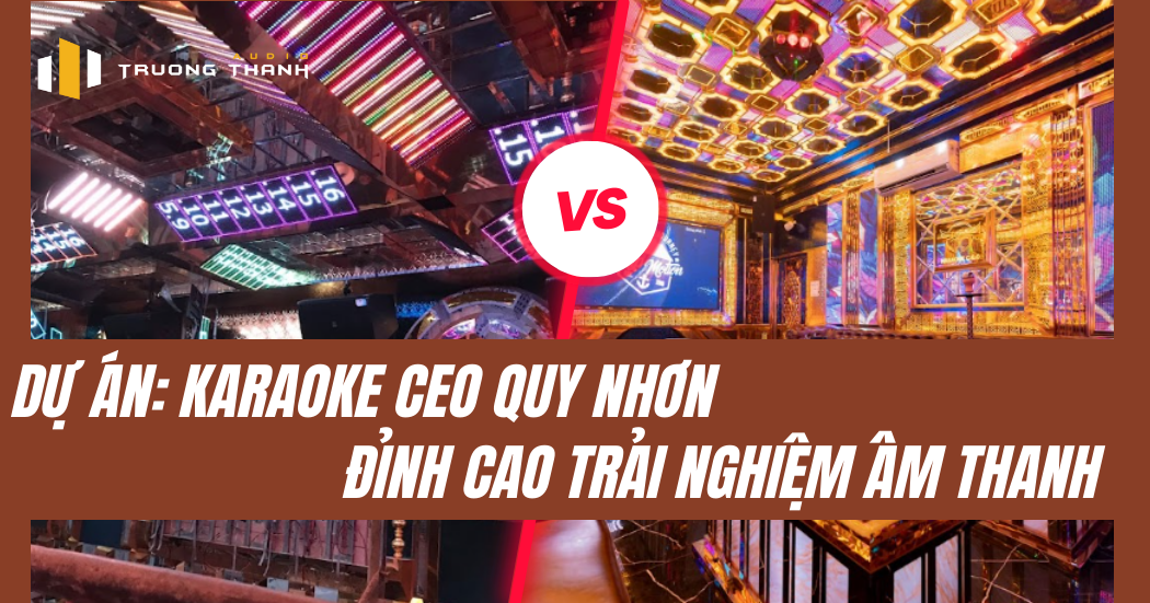 Các loại loa karaoke phổ biến tại Quy Nhơn