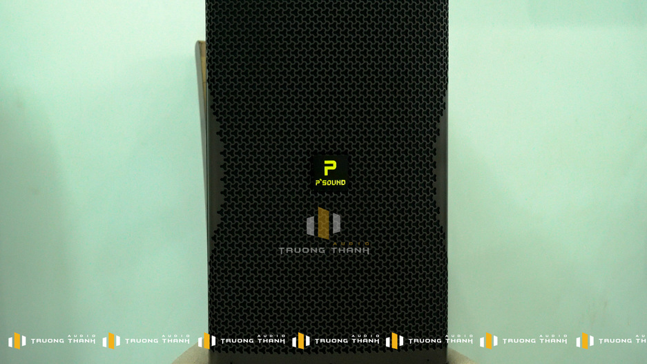 Loa karaoke của Dàn Karaoke P'Sound TT383