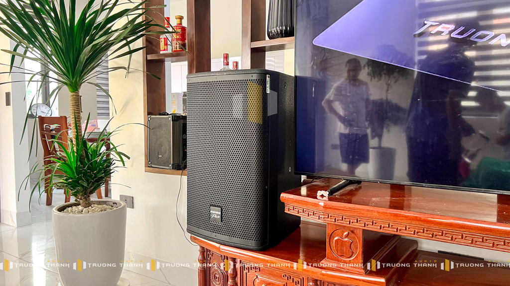 Mặt bên loa karaoke của Dàn Karaoke Paramax TT393
