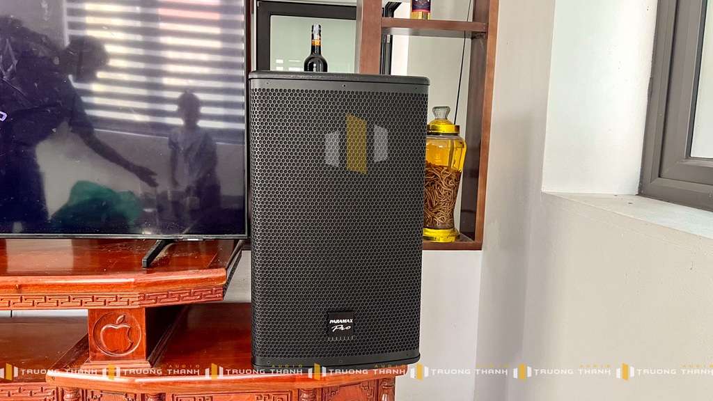 Mặt trước của loa karaoke Dàn Karaoke Paramax TT393