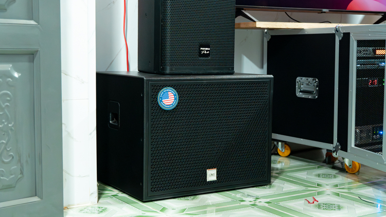 Loa sub của Dàn Karaoke Paramax TT406