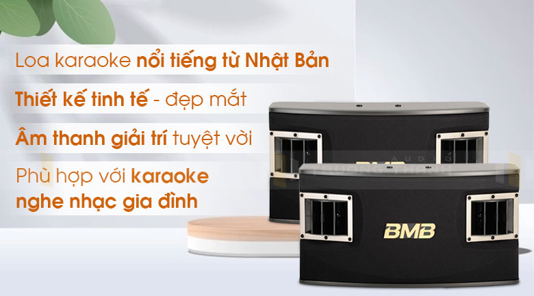 Loa BMB CSV 450 SE tính năng 5