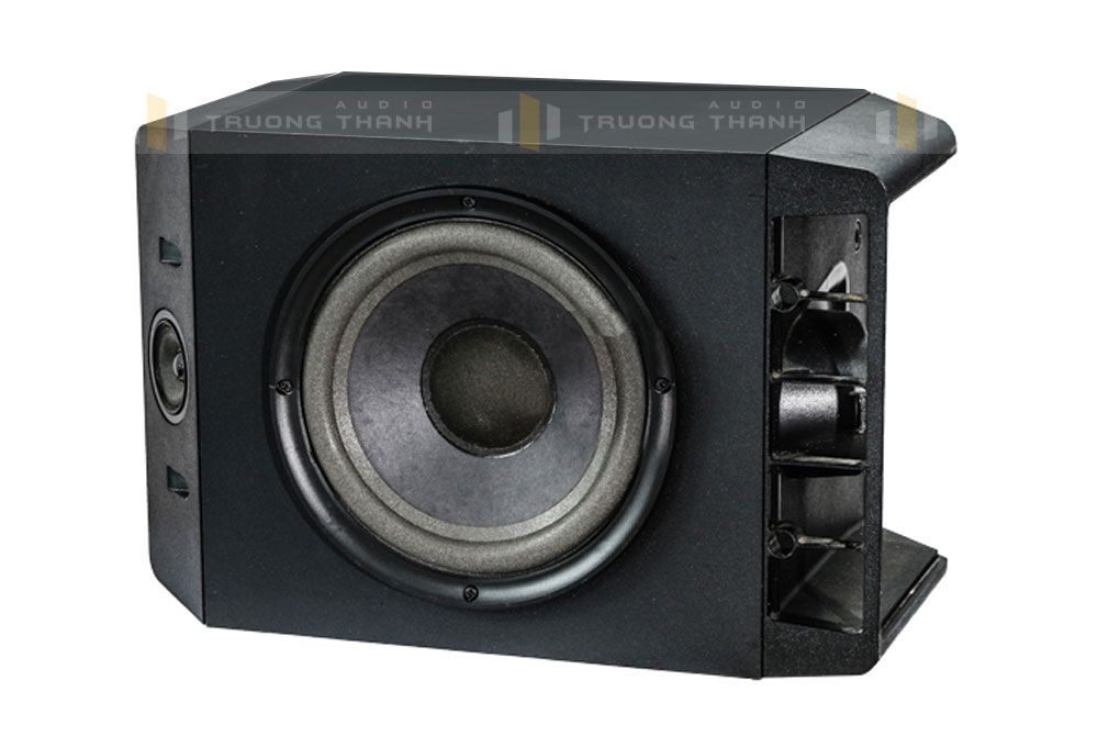 Loa Bose 301 seri 4 ảnh 4