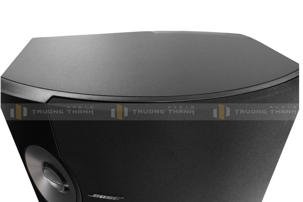 Loa Bose 301 series V pic 04